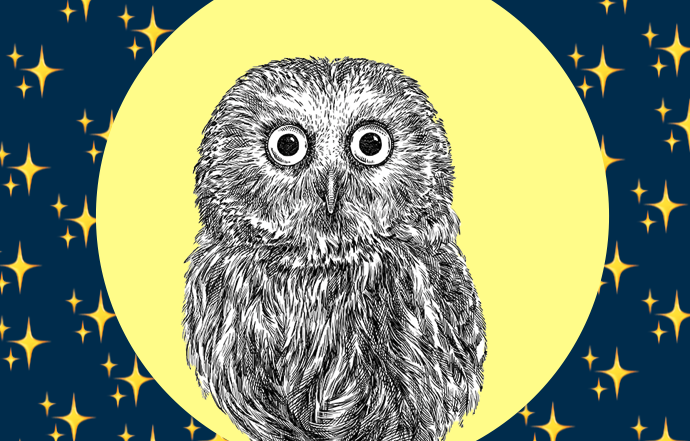 une chouette sur un fond de lune et d'étoiles